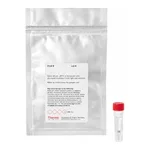 Thermo Fisher Scientific DyLight 594 NHS Ester, 1 mg
