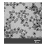 Merck GOLD NANOPARTICLES, 5 NM DIAMETER, SILI&