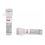 Merck MISSION(R) esiRNA