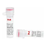 Merck MISSION(R) esiRNA