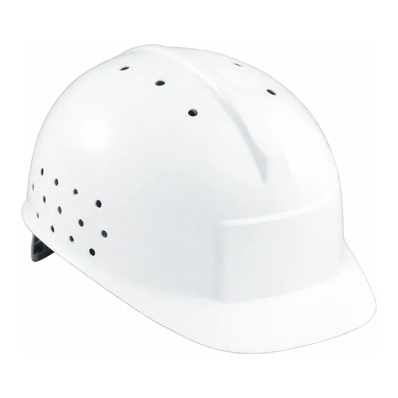 AS ONE Cleanroom Helmet, 클린룸대응 헬멧