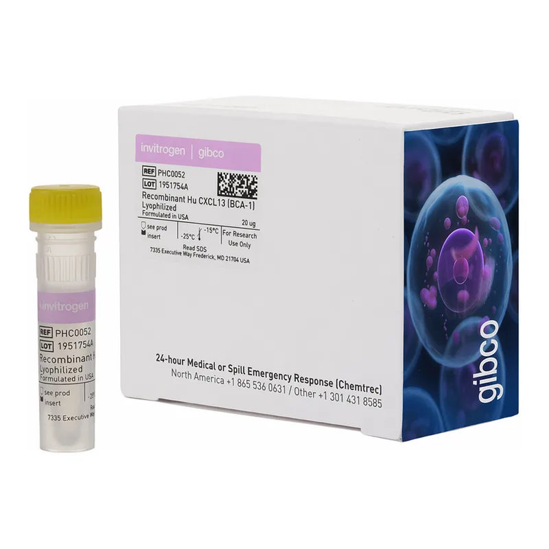 Thermo Fisher Scientific Human CXCL13 (BLC/BCA-1) Recombinant Protein