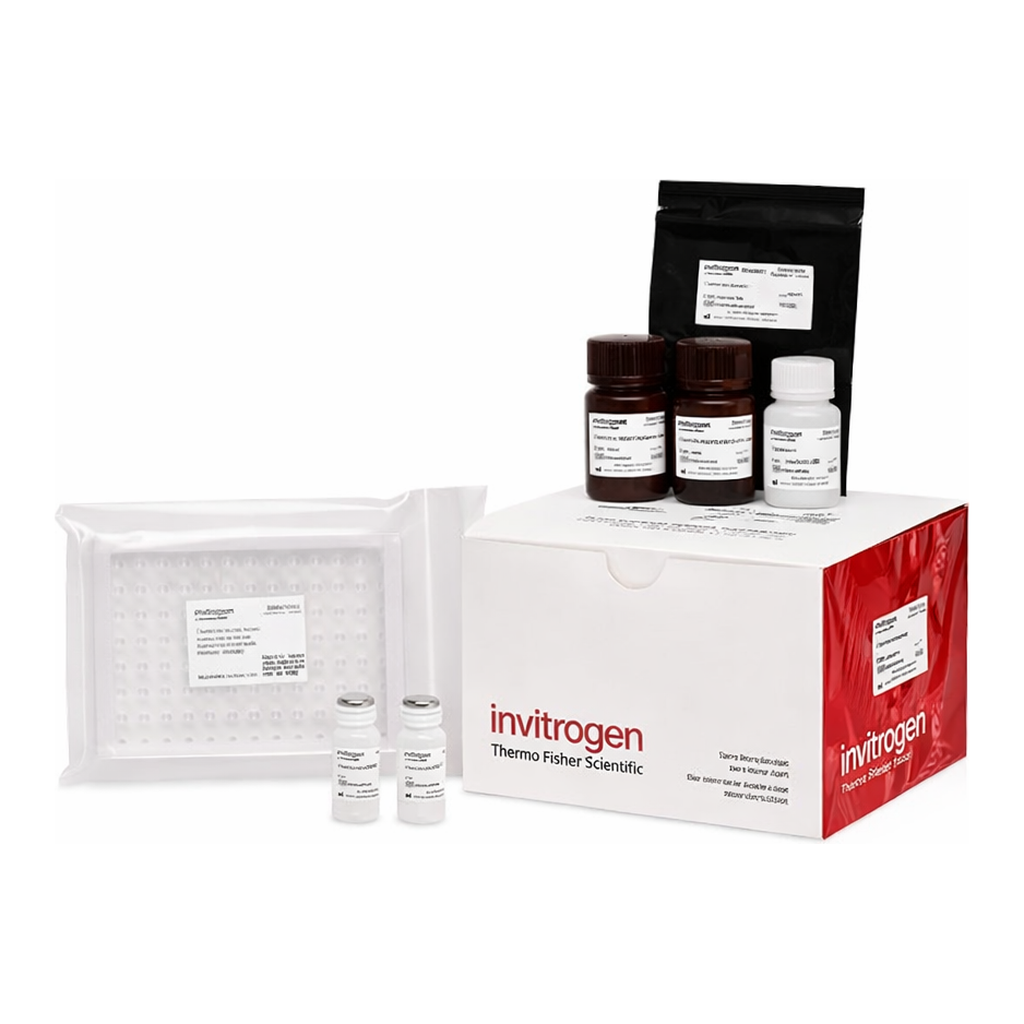 Thermo Fisher Scientific Alkaline Phosphatase (ALP) Activity Kit