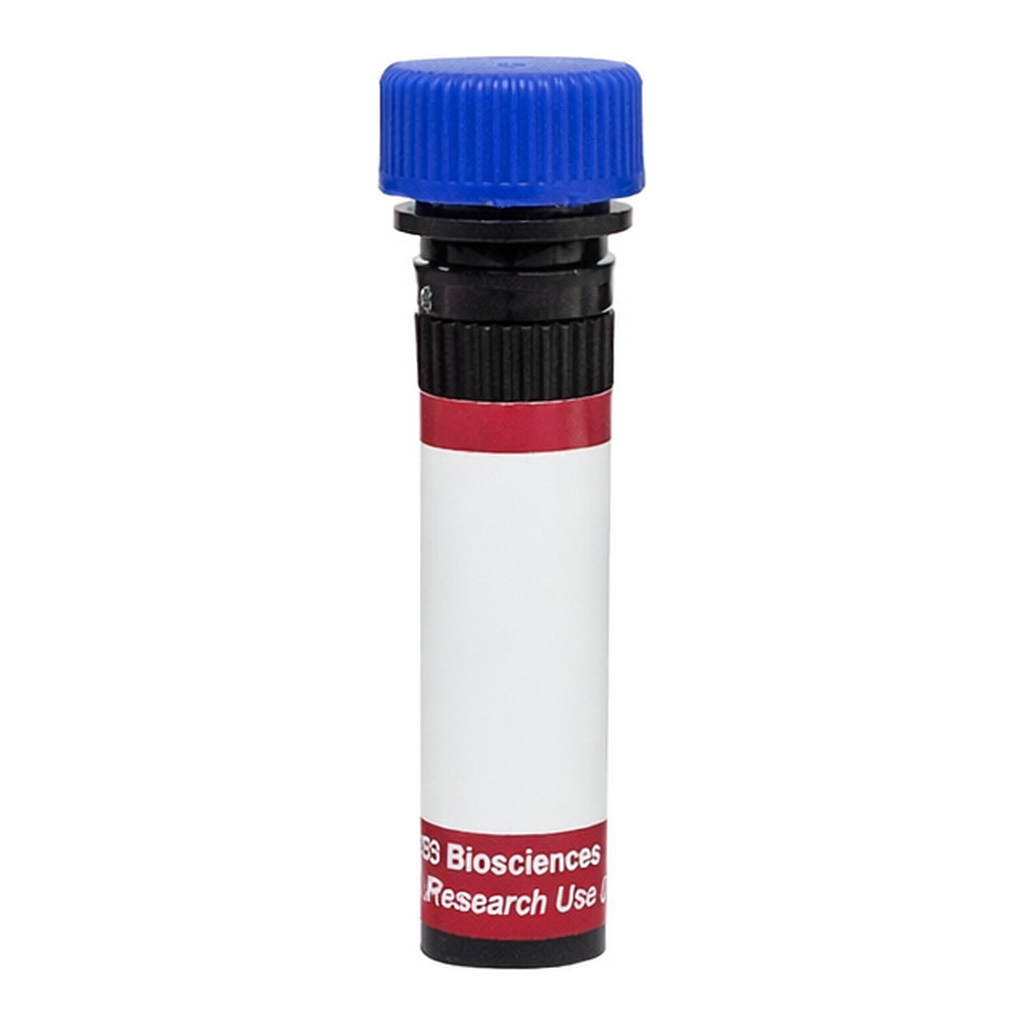BD R718 Rat Anti-Mouse IgG3