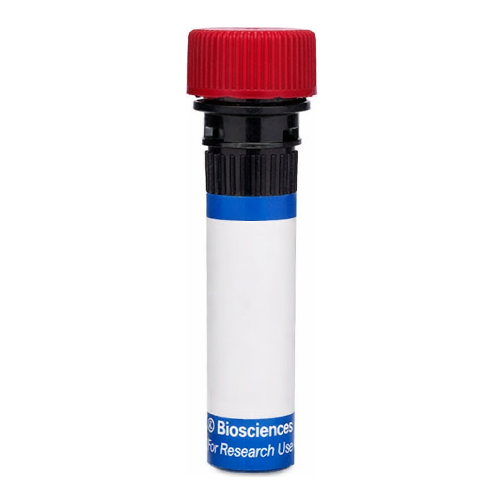 BD RB670 Rat Anti-Mouse CD18 (Integrin β2)