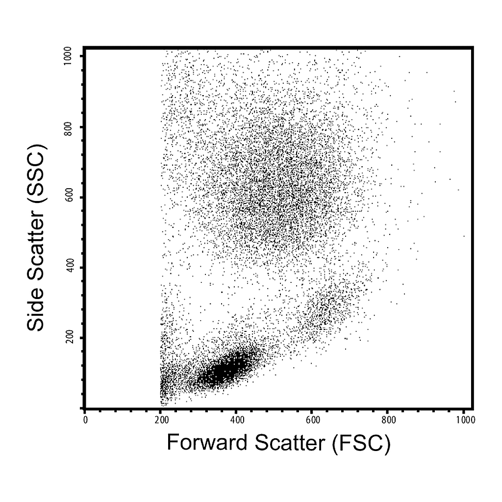 BD Lysing Buffer