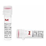 Merck MISSION(R) esiRNA