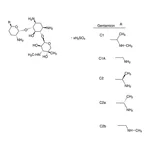 Merck GENTAMICIN SULFATE SALT
