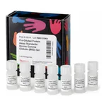 Thermo Fisher Scientific Pierce Bovine Gamma Globulin Standard Pre-Diluted Set