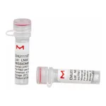 Merck MISSION(R) esiRNA