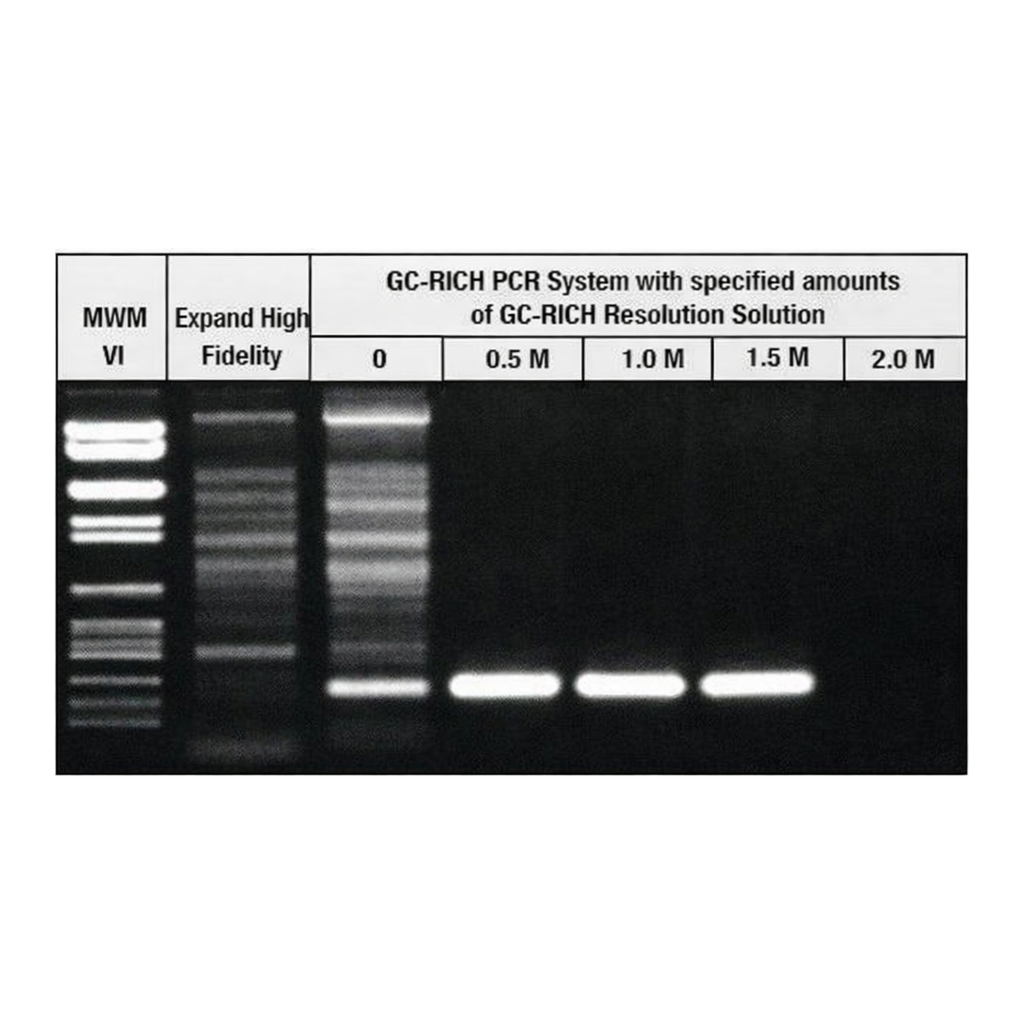 Merck GC-RICH PCR System, dNTPack