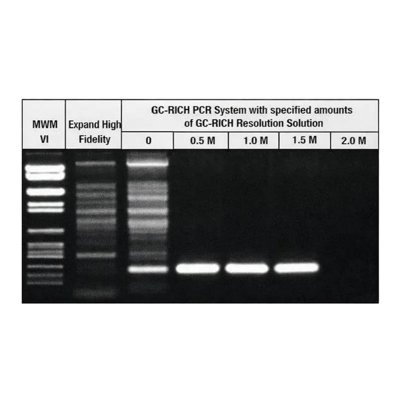 Merck GC-RICH PCR System, dNTPack