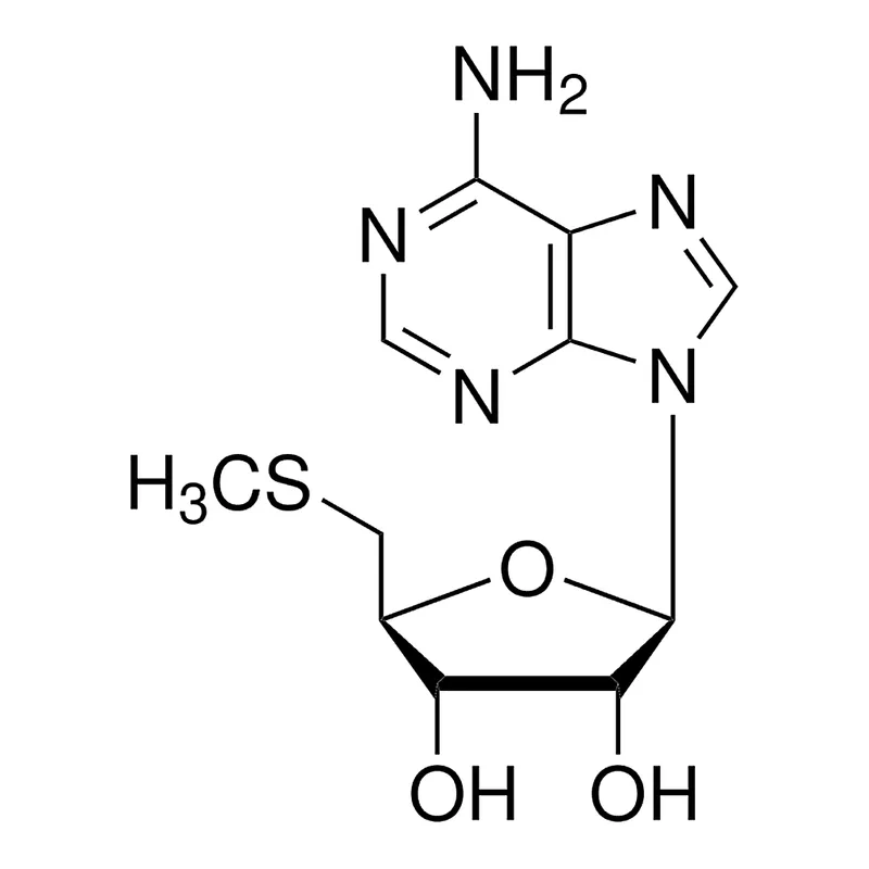 Merck 5'-Deoxy-5'-(methylthio)adenosine
