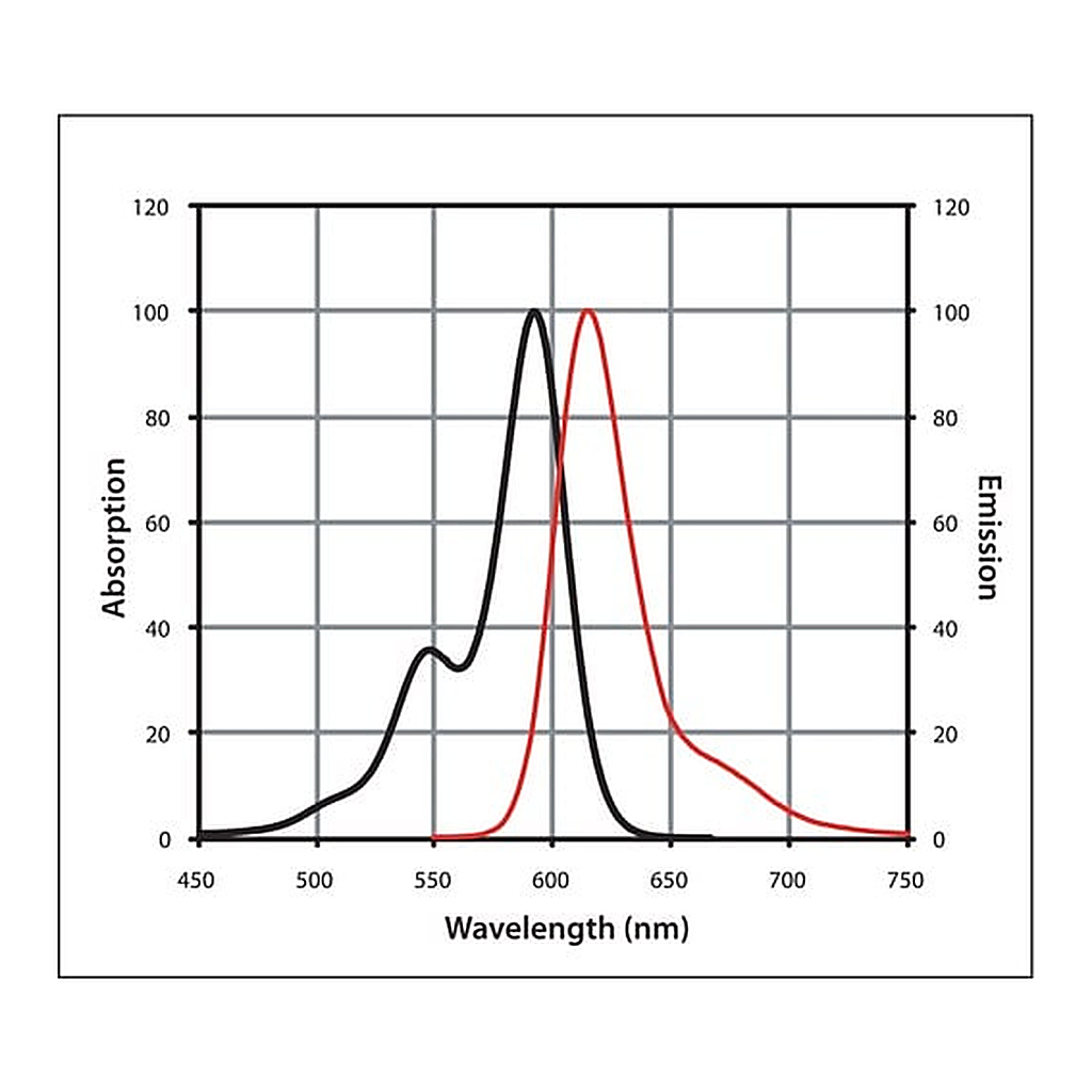 Merck Anti-Mouse IgG (H+L), highly cross-adsorbed, CF(TM) 594 antibody produced in donkey