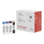Thermo Fisher Scientific Human Alpha-1-Microglobulin ProcartaPlex Simplex Kit