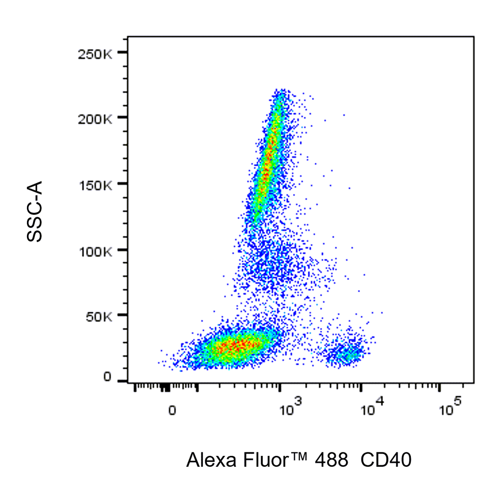 BD Alexa Fluor 488 Mouse Anti-Human CD40