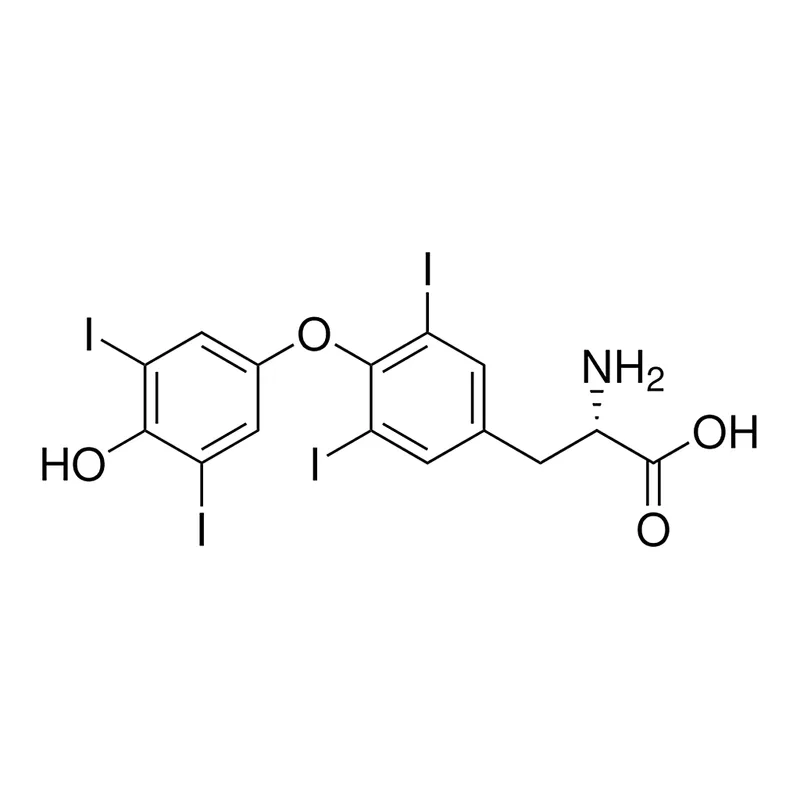 Merck L-Thyroxine