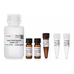 Thermo Fisher Scientific Vivid CYP2J2 Cyan Screening Kit