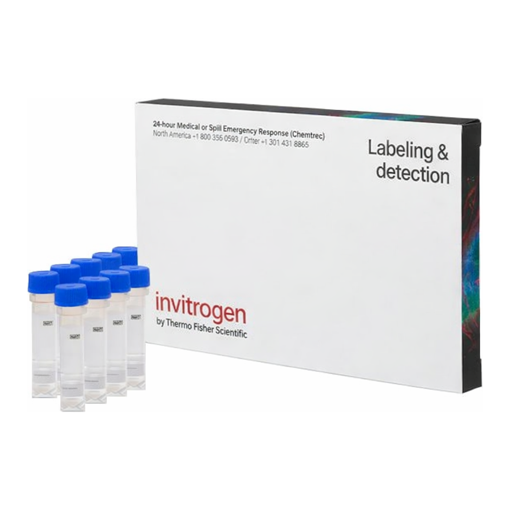 Thermo Fisher Scientific FM 4-64FX, fixable analog of FM 4-64 membrane stain
