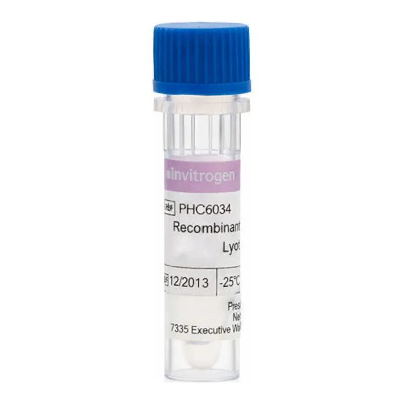 Thermo Fisher Scientific Human SCF, AOF Recombinant Protein