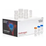 Thermo Fisher Scientific Click-iT Plus EdU Cell Proliferation Kit for Imaging, Alexa Fluor 555 dye