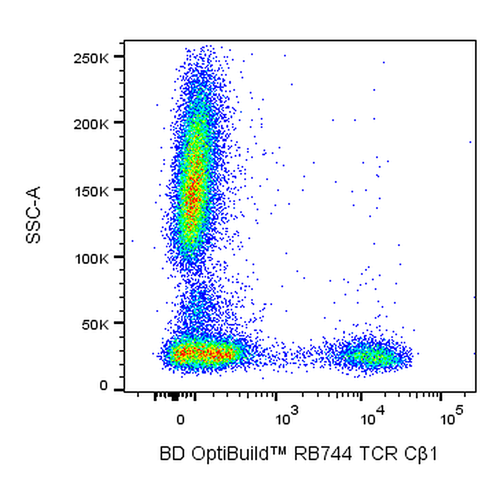 BD RB744 Mouse Anti-Human TCR Cβ1