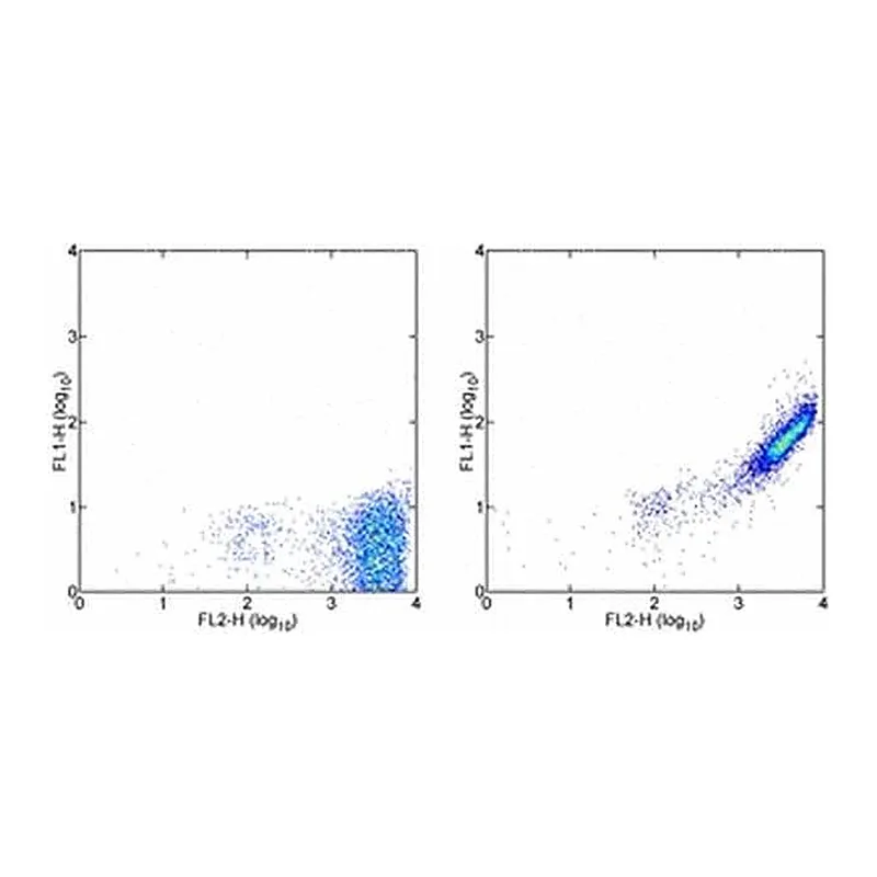 Thermo Fisher Scientific Rat anti-Mouse IgG (H+L) Secondary Antibody, FITC, eBioscience