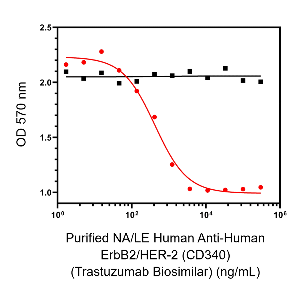 BD Purified NA/LE Anti-Human HER2 Trastuzumab Biosimilar