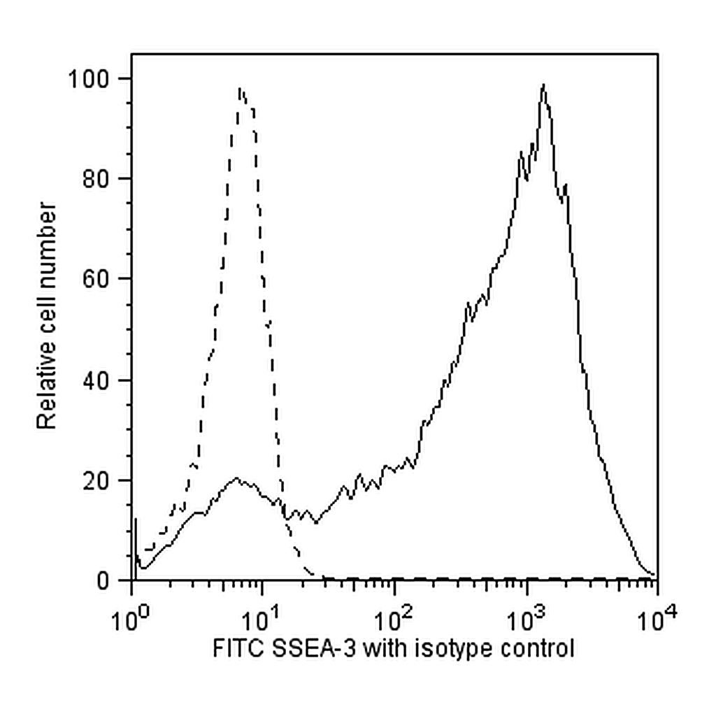 BD FITC Rat anti-SSEA-3