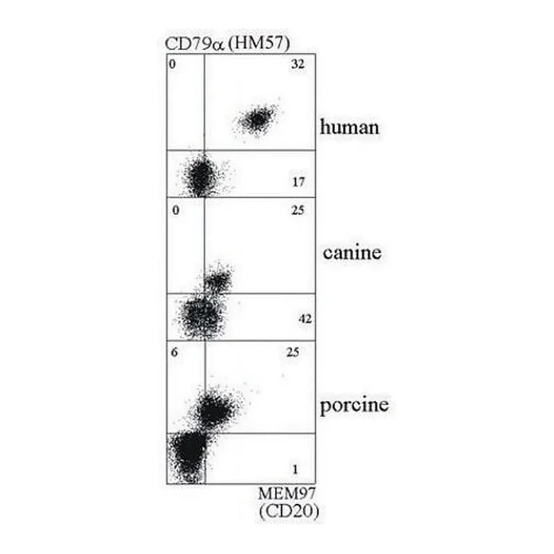 Merck Monoclonal Anti-CD79A antibody produced in mouse