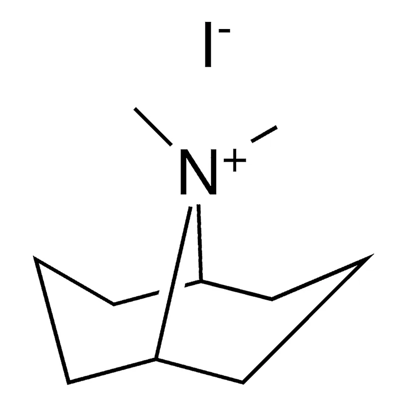 Merck 9,9-DIMETHYL-9-AZONIABICYCLO[3.-