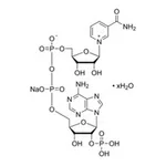 Merck B-NICOTINAMIDE ADENINE DINUCLEOTIDE