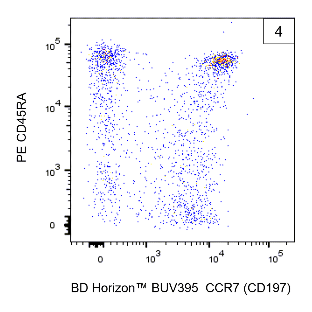 BD BUV395 Mouse Anti-Human CCR7 (CD197)