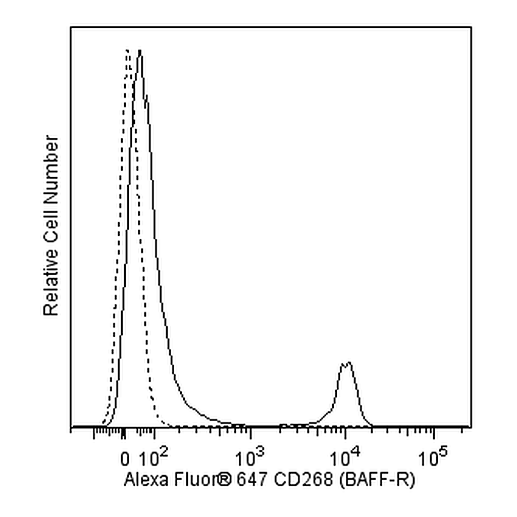 BD Alexa Fluor® 647 Mouse Anti-Human CD268 (BAFF Receptor)
