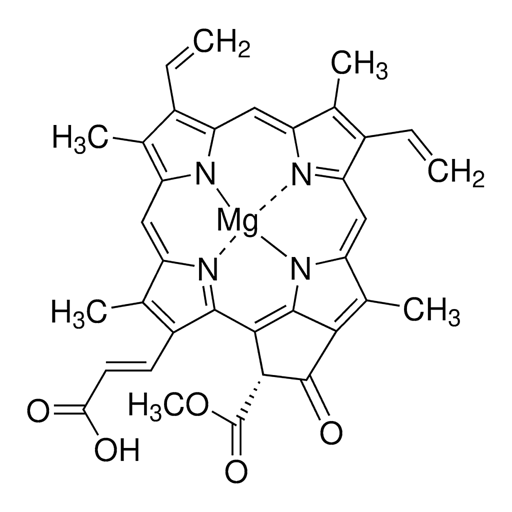Merck Chlorophyll c2