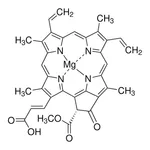 Merck Chlorophyll c2