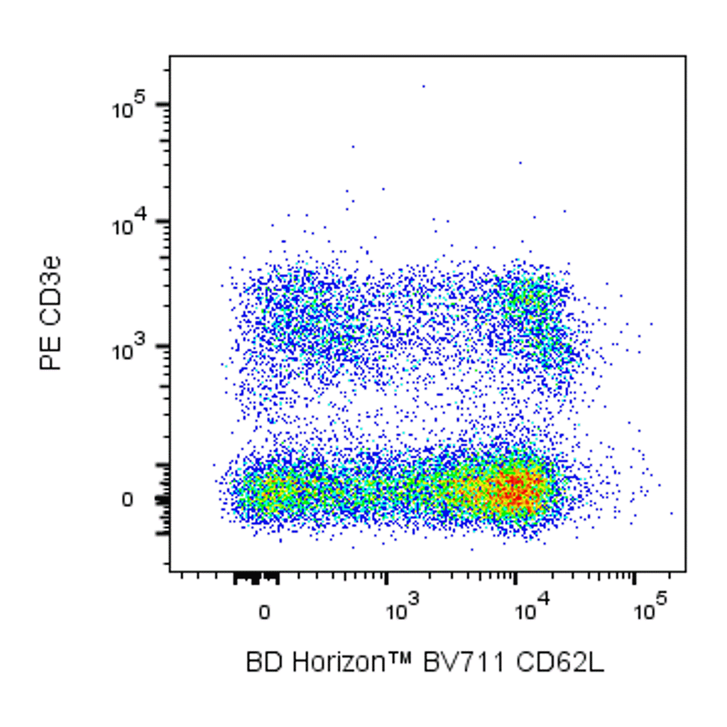 BD BV711 Rat Anti-Mouse CD62L