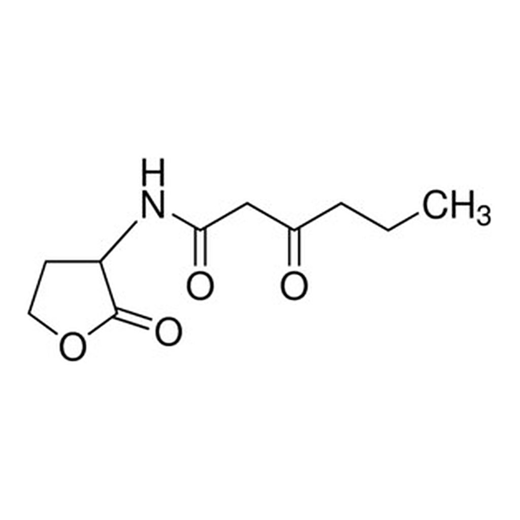 Merck N-(B-KETOCAPROYL)-DL-HOMOSERINE LACTONE
