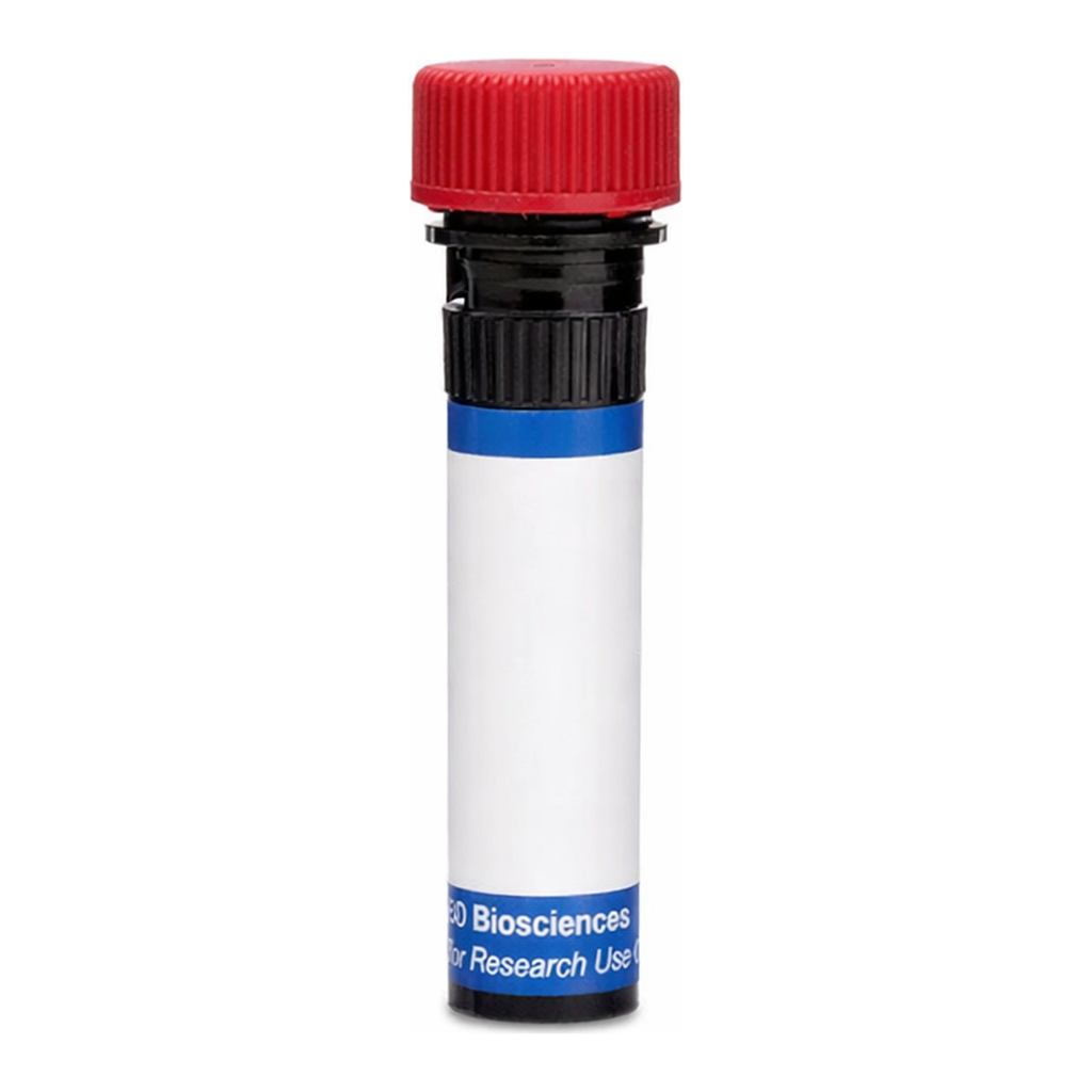BD RB670 Mouse Anti-Human LTβR (Lymphotoxin beta Receptor)