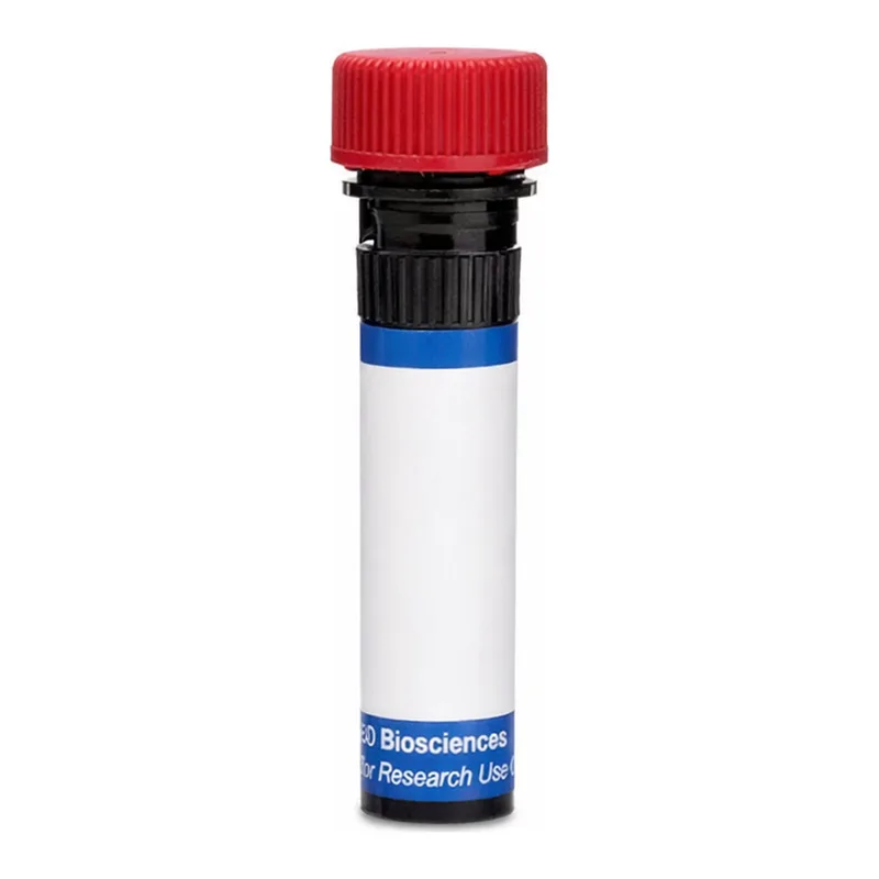 BD RB670 Mouse Anti-Human LTβR (Lymphotoxin beta Receptor)
