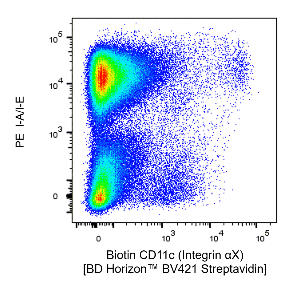 BD Biotin Armenian Hamster Anti-Mouse CD11c (Integrin αX)