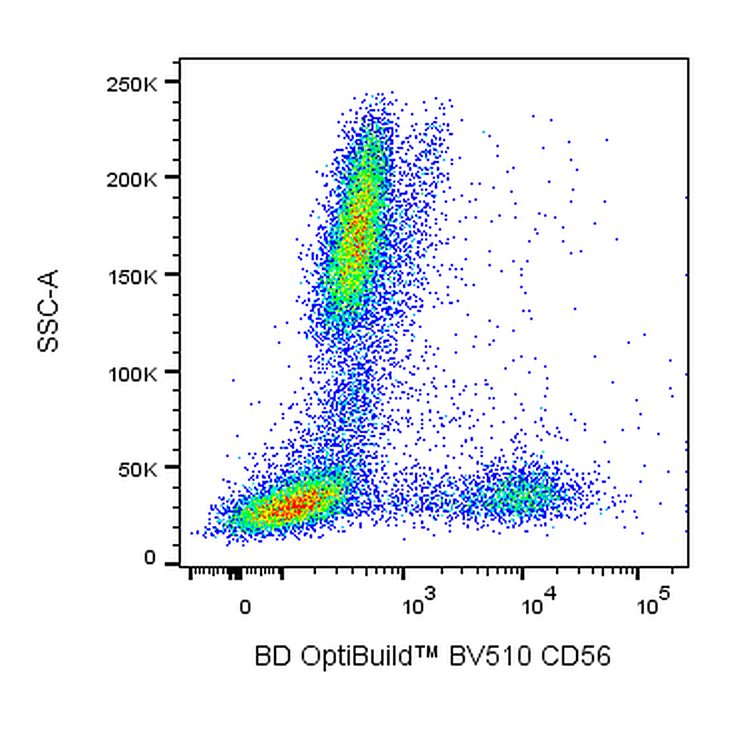 BD BV510 Mouse Anti-Human CD56 (NCAM-1)