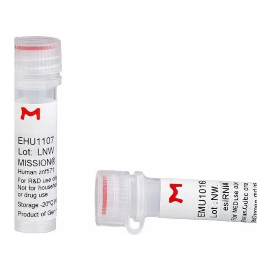 Merck MISSION(R) esiRNA