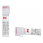 Merck MISSION(R) esiRNA