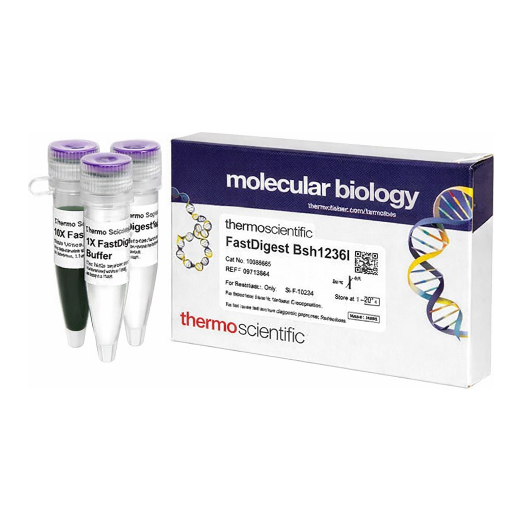 Thermo Fisher Scientific FastDigest Bsh1236I