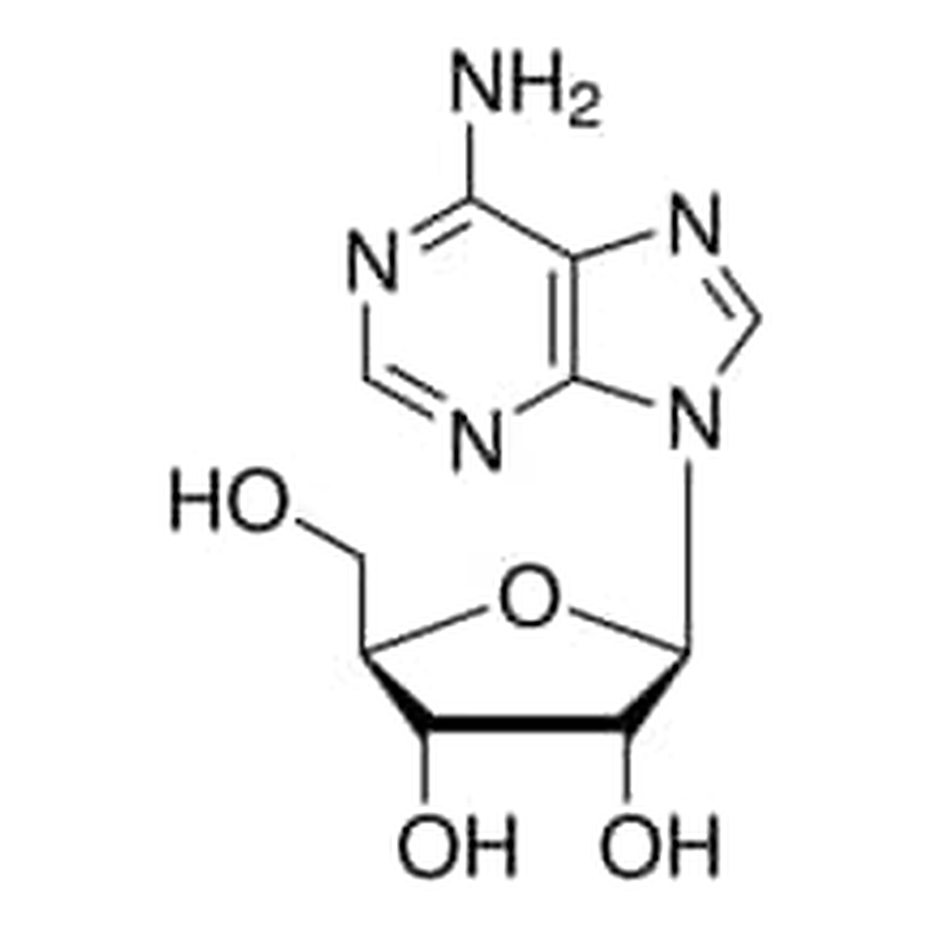 Merck ADENOSINE