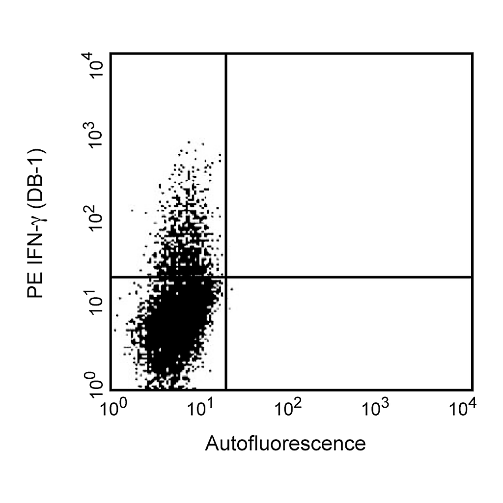BD PE Mouse Anti-Rat IFN-γ