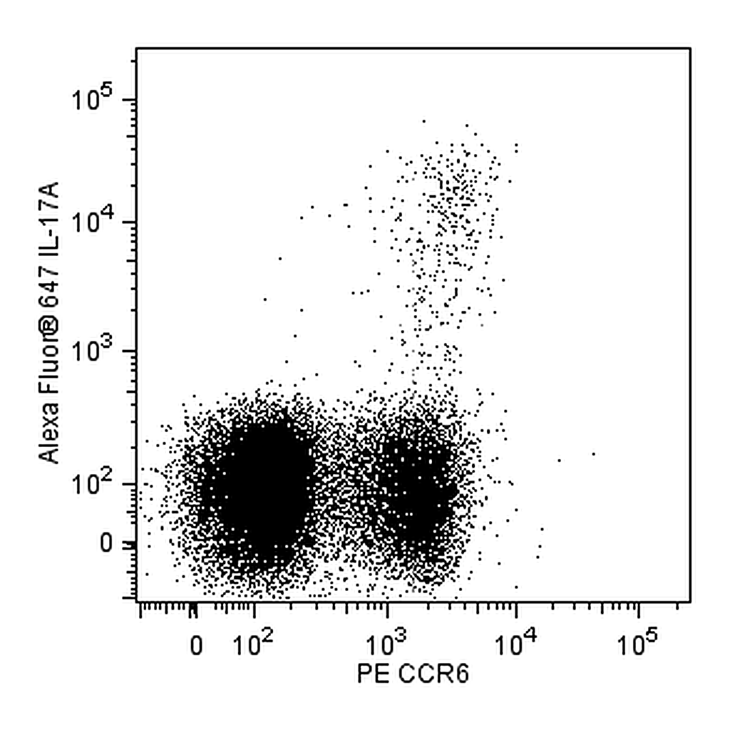 BD PE Mouse Anti-Human CD196 (CCR6)