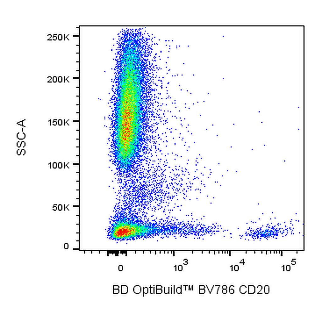 BD BV786 Mouse Anti-Human CD20