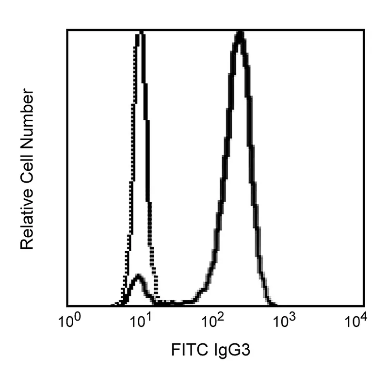 BD FITC Rat Anti-Mouse IgG3